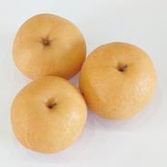 美味しい果汁たっぷり！新興梨 約3kg【程よいサイズ】 | 果物/梨 産直