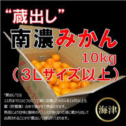 蔵出し「南濃みかん」10kg 3Lサイズ以上 みかん 10kg 3Lサイズ以上 果物や野菜などのお取り寄せ宅配食材通販産地直送アウル