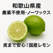 NZSS和歌山県産レモン10kg 農薬不使用、ワックス不使用化学肥料不使用 農薬不使用！】 国産レモン 10kg ｜ 果物/香酸柑橘(ライム・レモン等