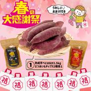 【春の福袋】🍠おまけ付き🍠 ① アグロファームの『紅はるか』大感謝福袋 ① 90日間貯蔵 熟成芋!! 2.5kg!!! べにはるか 2.5kg、さつまいもチップス(シナモンシュガー・ブラックトリュフ)各1袋 ＋ おまけ付き 果物や野菜などのお取り寄せ宅配食材通販産地直送アウル