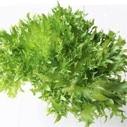 ハーブとガレット様用：ココワーク葉物野菜3種 約2kg 果物や野菜などのお取り寄せ宅配食材通販産地直送アウル