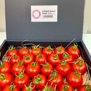 【贈答用】新品種ロハススイート　※送料込み 約900g〜1kg（収穫のタイミングにより大きさと個数は前後いたします） 果物や野菜などのお取り寄せ宅配食材通販産地直送アウル