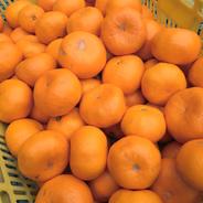 安間農園の三岳みかん🍊【寿大玉】 ５Kg 果物や野菜などのお取り寄せ宅配食材通販産地直送アウル