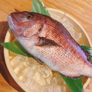 静岡産の活〆マダイ2尾(合計約3キロ)  お食い初め・塩釜焼きに【冷蔵・未処理】 静岡県産の活〆マダイ2尾 果物や野菜などのお取り寄せ宅配食材通販産地直送アウル