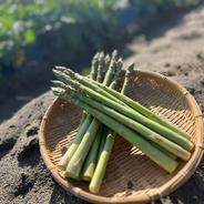 【驚愕の甘さ!?】出世アスパラガス 500ｇ 果物や野菜などのお取り寄せ宅配食材通販産地直送アウル