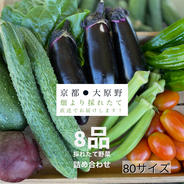 夏の野菜詰め合わせ⚫︎低農薬野菜 3 果物や野菜などのお取り寄せ宅配食材通販産地直送アウル
