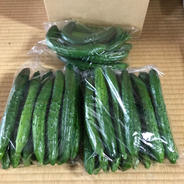 訳あり きゅうりB品 規格外 無選別 朝採り野菜3kg 3kg 果物や野菜などのお取り寄せ宅配食材通販産地直送アウル