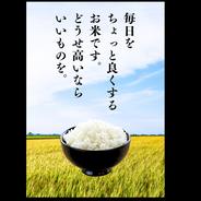 新米 5kg いのちの壱白米 ｜ 米・穀物/米/精米 産直アウル 農家・漁師