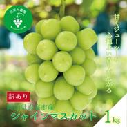 WS-1　花笑み農園　訳あり『シャインマスカット』　 1kg　【9/18～順次発送】 １ｋｇ 果物や野菜などのお取り寄せ宅配食材通販産地直送アウル