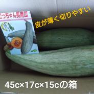 ごっちゃん長南瓜と少しのジャンボニンニク片 長南瓜2本　ジャンボニンニク片5個くらい 果物や野菜などのお取り寄せ宅配食材通販産地直送アウル