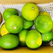 【選果落ち 訳あり商品】熊本県産 スイートスプリング みかん 訳あり 箱込み 約2kg【002】フルーツ 熊本県 熊本 柑橘類 柑橘  規格外 家庭用 贈答不可 加工用 通販 果物  箱込み 約2kg 果物や野菜などのお取り寄せ宅配食材通販産地直送アウル