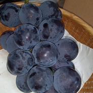 高畠町産☆藤稔 80サイズ1.6キロ | 果物/ぶどう 産直アウル 農家から