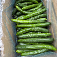 訳あり10k  壱心不乱に作ったキュウリ 10.0kg 果物や野菜などのお取り寄せ宅配食材通販産地直送アウル