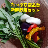 空芯菜たっぷりセット 80サイズ 果物や野菜などのお取り寄せ宅配食材通販産地直送アウル