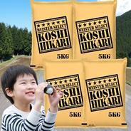 R7年産特別栽培米 コシヒカリ 20kg ｜ 米・穀物/米/精米 産直アウル
