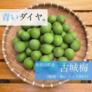 【送料500円引き！】梅酒・梅シロップに最適！　和歌山県産希少品種 古城梅（青梅）  2kg（Lサイズ以上） 2kg 果物や野菜などのお取り寄せ宅配食材通販産地直送アウル