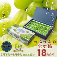 【贈答用】岡山県産シャインマスカット＊つぶつぶの宝石箱＊18粒入り　農家直送 18粒 果物や野菜などのお取り寄せ宅配食材通販産地直送アウル