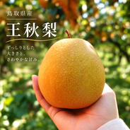 超希少品種、サザンスイート2kg】幸水より甘い、硬い、ジューシーな