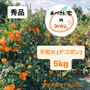 【愛媛県産】e~デコポン 不知火@贈答用 5kg箱 果物や野菜などのお取り寄せ宅配食材通販産地直送アウル