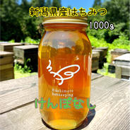 2024年新潟県産はちみつ けんぽなし1000g 1000g 果物や野菜などのお取り寄せ宅配食材通販産地直送アウル