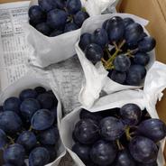 ナガノパープル粒パック1kg ｜ 果物/ぶどう 産直アウル 農家・漁師