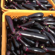 今が旬！中長ナス 2キロ | 野菜/茄子 産直アウル 農家から直接野菜など