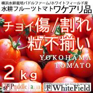 ちょい傷/割れ、粒不ぞろい、2.0ｋｇの水耕フルティカをお届け！ 2ｋｇ 果物や野菜などのお取り寄せ宅配食材通販産地直送アウル