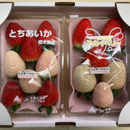 とちあいか×スカイベリー×ミルキーベリー 260g×2パック 果物や野菜などのお取り寄せ宅配食材通販産地直送アウル