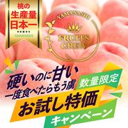 【8月サクサク晩生桃】先行予約💡ニノさん出演で話題！お試し特価！🍑お中元ギフト🍑桃通が好む本場山梨の味『硬甘桃』硬くても甘いという新常識☆🍑アウルの日🍑 お試し特価約1kg 果物や野菜などのお取り寄せ宅配食材通販産地直送アウル