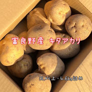 富良野産 大きいキタアカリ！ 4.6kg じゃがいも きたあかり 4.6kg 果物や野菜などのお取り寄せ宅配食材通販産地直送アウル