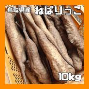 【家庭用】ねばりっこ とりたて 10kg程度 長芋 とろろ ねばり 山芋 バラ 10kg 果物や野菜などのお取り寄せ宅配食材通販産地直送アウル