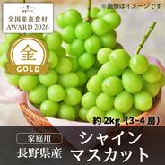 お試しサイズ 早生ワッサー1kg【贈答用】（4玉）【旬祭限定】／本気