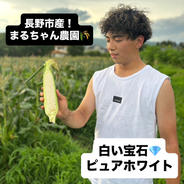 まるちゃん農園🌾の真っ白とうもろこし🌽ピュアホワイト！6本(状態によってオマケ付き) 6本(状態によってオマケ付き) 果物や野菜などのお取り寄せ宅配食材通販産地直送アウル