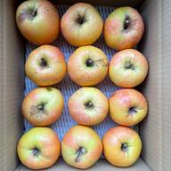 ご家庭用＆訳あり】りんご こうみつ＆ムーンルージュ | 果物/りんご