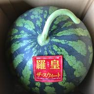 品種味きらら西瓜Lサイズ1玉入り ｜ 果物/スイカ 産直アウル 農家