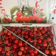 訳あり 2箱 山形県産 さくらんぼ 佐藤錦 訳あり品 1kg 数量限定