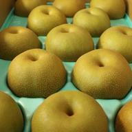 干し柿 市田柿 ひとパック7個入り170g×4パック | 果物/果物の加工品