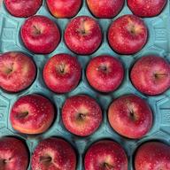 青森県幻の林檎！高徳 | 果物/りんご 産直アウル 農家から直接野菜など