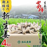 生姜マニアが作る！土佐の大生姜1㎏ 高知県産 土付き 生姜 囲い生姜 種
