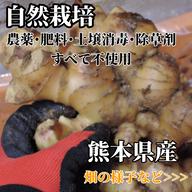 新生姜 1kg 農薬栽培期間中不使用・無肥料 熊本県産 露地 自然栽培