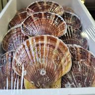 北海道産 活ホタテ3年貝 5キロ | 魚介類/ホタテ 産直アウル 農家から