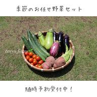 肥料、農薬不使用 季節の野菜セットM ｜ 野菜/野菜セット・詰め合わせ