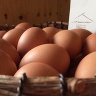 北海道発東日本向け】平飼い鶏の有精卵「ぽんあびらん」【常温便】60個