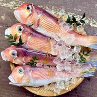 激レアな特大セミエビ！1匹で1.5キロ！ | 魚介類/エビ 産直アウル