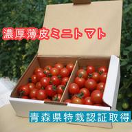 濃厚薄皮】贅沢ミニトマト 1.4kg 青森県産 プチトマト | 野菜/トマト