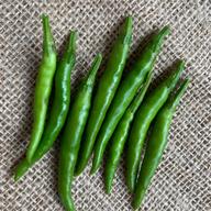 辛くてうまい！激辛唐辛子　赤唐辛子　唐辛子いろいろ！多種ミックス！　箱込約8kg レターパック発送】激辛！生赤唐辛子 300g | 野菜/スパイス 産直アウル