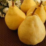 美味しい果汁たっぷり！新興梨 約3kg【程よいサイズ】 | 果物/梨 産直