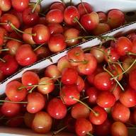 限定出品山形県産「やまがた紅王」3Lサイズ以上 ｜ 果物/さくらんぼ