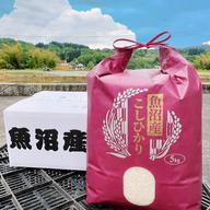 令和7年産 魚沼産コシヒカリ10Kg ｜ 米・穀物/米/精米 産直アウル 農家