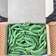 鹿児島産】甘塩ゴーヤ箱込み3キロ^_^ ｜ 野菜/ゴーヤ 産直アウル 農家